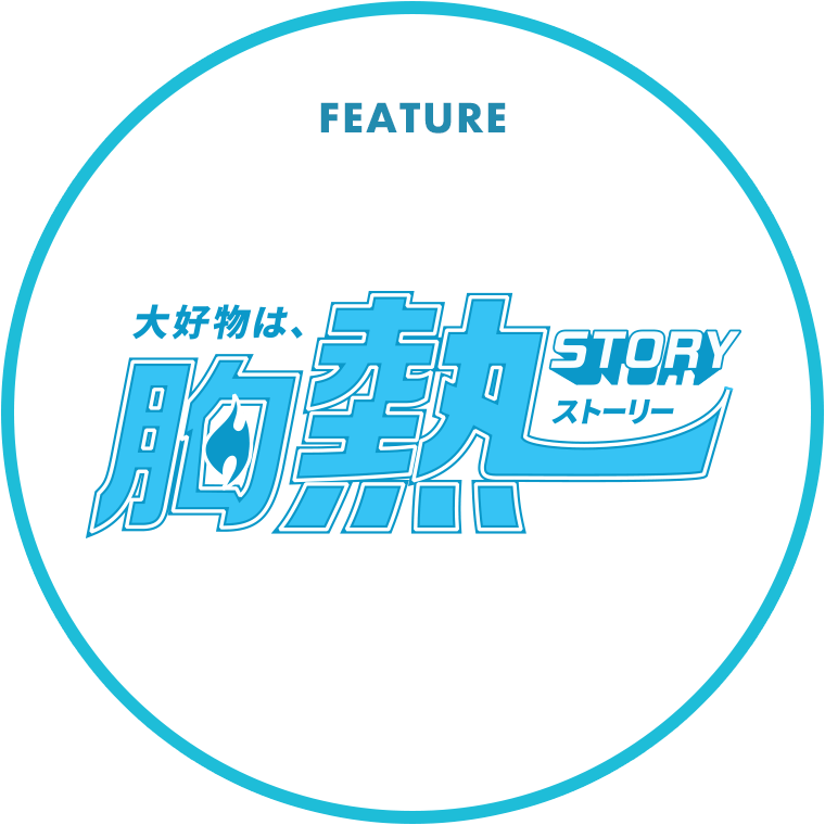 全方位型